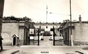 Mascara 015- Collection Montaner